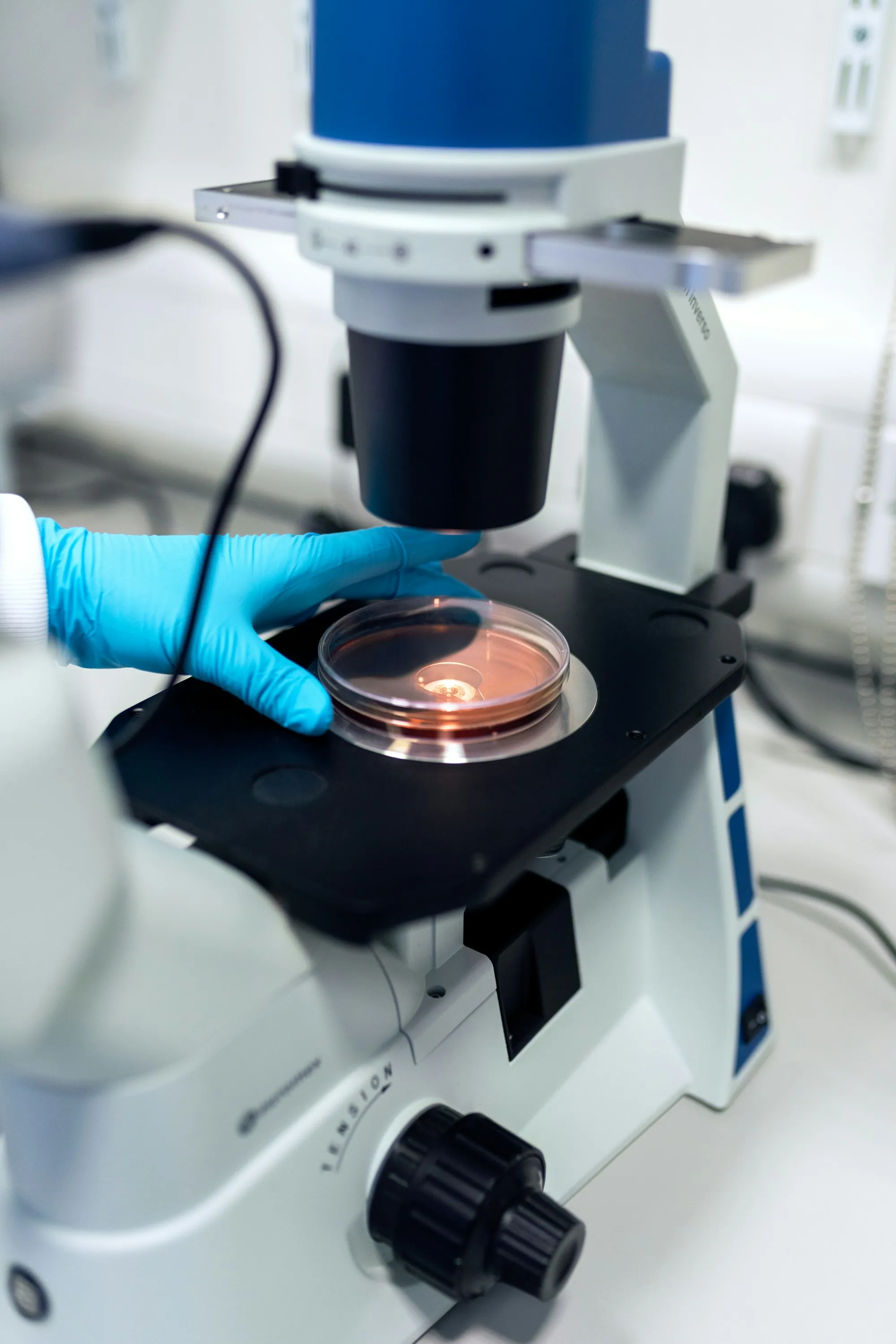 Gloved hand placing a sample under a microscope